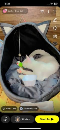 Cat house for sale