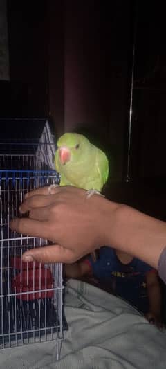 khata