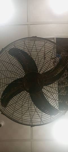 fan