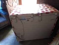 Haier D freezer