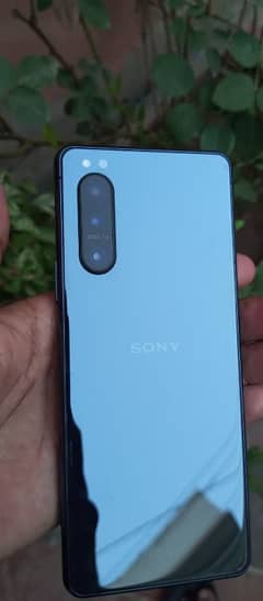 Sony