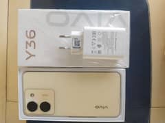 vivo y. 36//8/128 . . 03161574575 full lush condition urgent sale