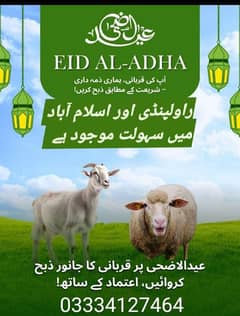 Qasai Available E, F . G All sectors.