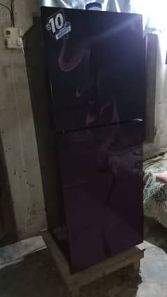 New PEL Medium Size Fridge