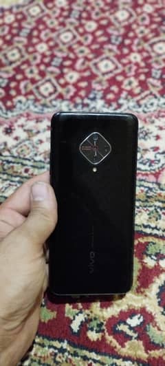 vivo