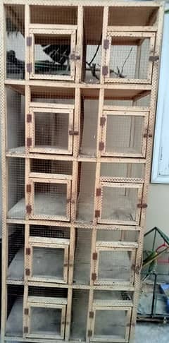 bird cage