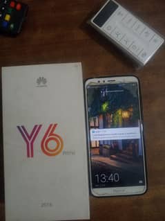 y6 2018