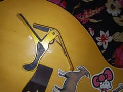 acoustic guitar