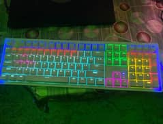 FULL RGB GAMING SETUP +CURVED GAMING MONITOR
