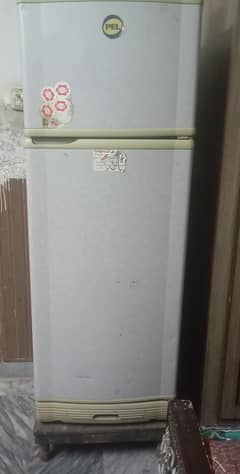 PEL Fridge