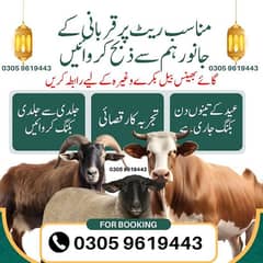 Qurbani ka janwar zibah karwany ka lea rabta kry 03/0/5/9/6/1/9/44/3