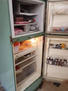 Pell. fridge