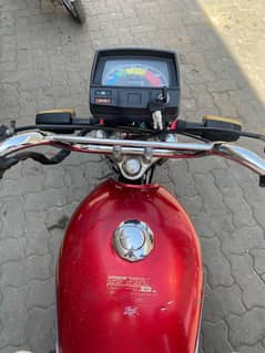 Safari bike 70