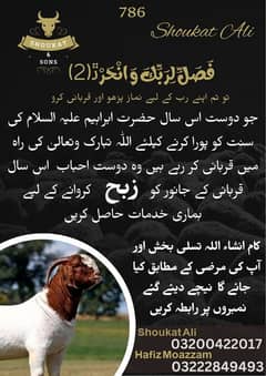 qasai available