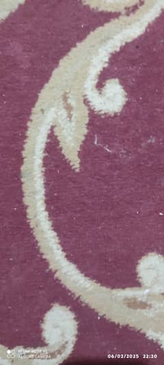 Carpet
