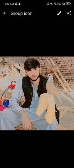 hand tamd yellow Kpry py lga03021662482 is py rabta kry