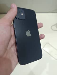 Iphone 12 100%  jv 64 gb