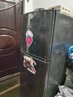 FREEZ FOR SELL