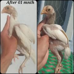 Heera Patha