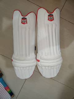 SS Cricket Batting Pads | Batting Pads | Cricket Pads