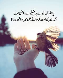 online dealing social media keliye girl required ha jo experience