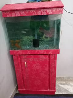 Fish Aquarium
