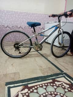 saddam