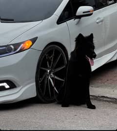 Vossen Cvt 18” inch rims and low profile tyre
