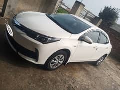 GLI 2019 03006436336