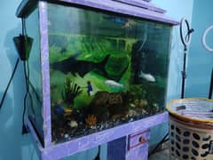 Aquarium for Sell