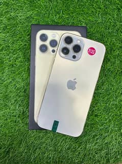13 pro max