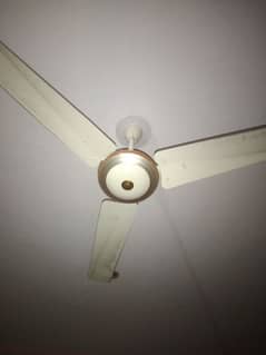 fan ceiling