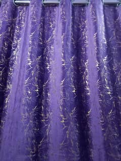 curtains