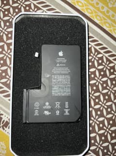 12 pro max battery