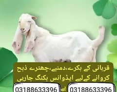 Qasai Available In Rawalpindi Islamabad Booking Jari Ha