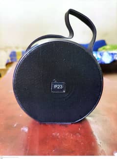 P23