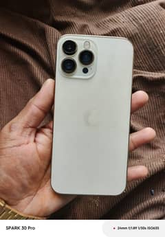 13pro