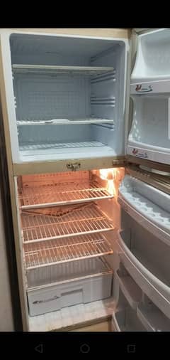 PEL Refrigerator medium size fresh look