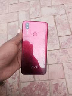 vivo