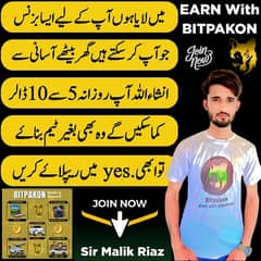 online work available without team daily earning daily withdraw