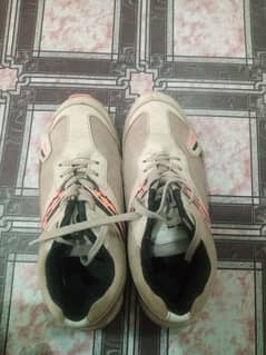 Original AS skippers in used