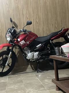 Yamaha Ybr G 125 Fully Lush Condition Well Mainten