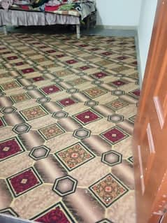 carpet