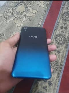 Vivo
