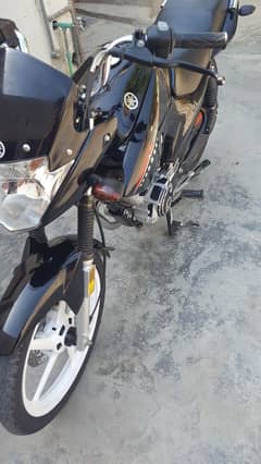 yamaha
