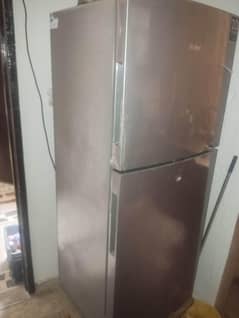 Hair Refrigerator