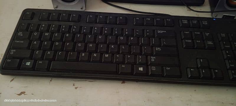 HP core 2 due computer with LCD 2