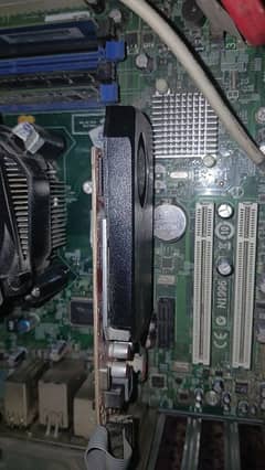 NVIDIA GTX 745 4GB