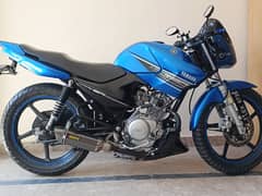 Yamaha YBR 125 || Full Modified || Lush Condition