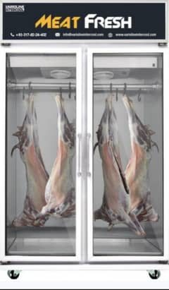 Almost New 2-Door Meat Chiller | Powerful Cooling | Spacious